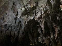 -怀托摩萤火虫洞