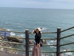 -广东惠东海龟国家级自然保护区