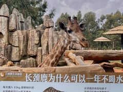 -云南野生动物园