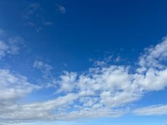 -台场海滨公园船码头
