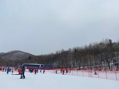 -亚布力新体委滑雪场