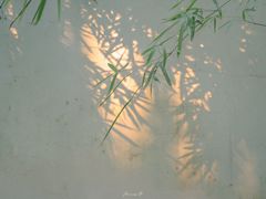 -杭州黄龙洞