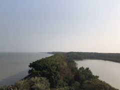 -大湾区中央湿地公园