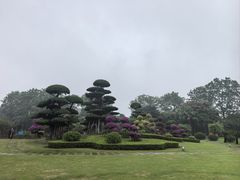 -南宁南湖公园