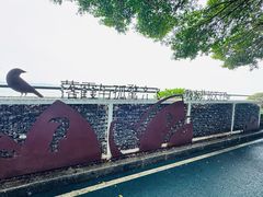 -大湾区中央湿地公园