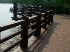 -东寨港红树林旅游区