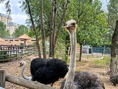 -大连森林动物园