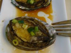 鲍鱼-海岛渔村大酒店(云霄路店)