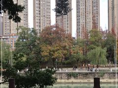 -成都市活水公园