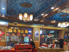 -金鼎雪山牦牛杂火锅(理县总店)