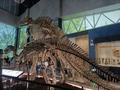 -湖南省地质博物馆