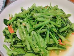 泰式空心菜-荷花泰菜(东方新天地店)