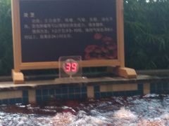 -弘安丽水温泉酒店