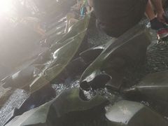 -成都市活水公园