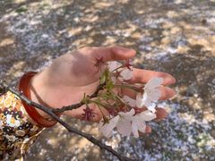 -中国海洋大学（崂山校区）-图书馆