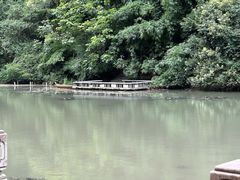 -黔灵山公园