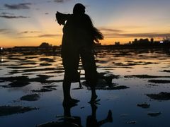 -北海金海湾红树林生态旅游区