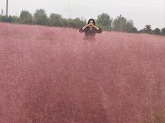 -汉长安城未央宫国家考古遗址公园