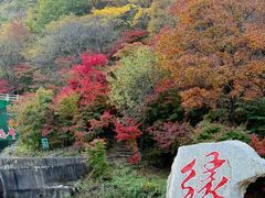 -龙道沟景区