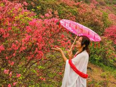 -木兰云雾山