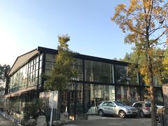 -桉树林A coffee 森林餐厅(三圣乡店)