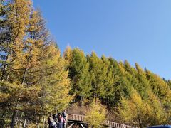 -苏木山森林公园