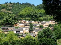 -杨家堂村