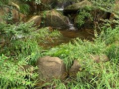 -武汉姚家山旅游景区