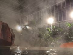 -中家鑫园温泉酒店鑫悦汤泉