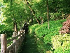 -重庆平顶山公园