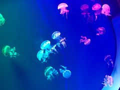 -福州罗源湾海洋世界旅游区