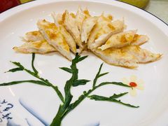 -丁老爷子苏香圆