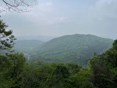 -老山国家森林公园