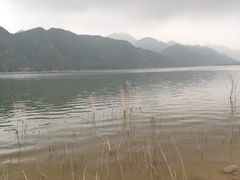 -崔记生活·铁锅炖鱼粘卷子(总店)