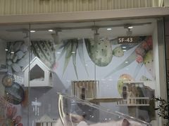 -Honey Bacca 哈尼芭卡高端萌宠(朝阳大悦城店)