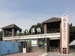 -大湾区中央湿地公园