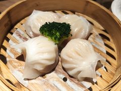 -鲨鱼餐厅.海景川粤餐厅(重庆天地店)