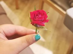 -海底捞火锅(万象城店)