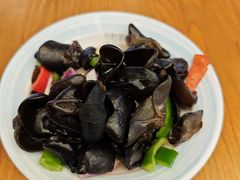-小灶派· 地道兰州牛肉面(宏发大厦店)