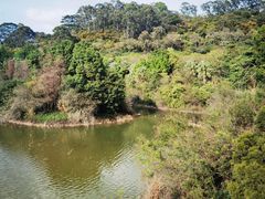 -水濂山森林公园