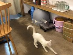 -正南齐北·老街糯米团(洪崖洞店)