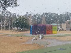 -金泽21世纪美术馆