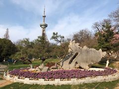 -南京古林公园