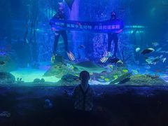 -沈阳海洋探索中心