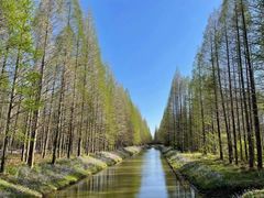 -黄海国家森林公园