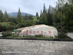 -习家池