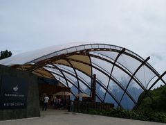 -怀托摩萤火虫洞