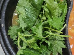 野菜-黔府豆米火锅野菜馆(南马店)