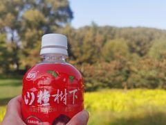 -潇河湿地公园