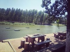 -天津武清北运河郊野公园房车露营地